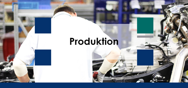 Expertise in der Produktionslogistik